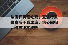 欧宝体育-包含法国杯赛程吃紧，夏洛特黄蜂赛后手感冰凉，信心回归，细节决定成败的词条-欧宝体育